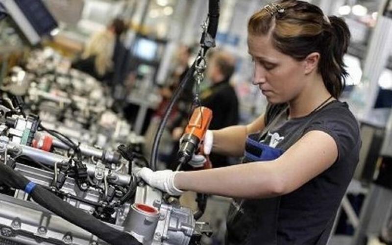 Bassanonet.it Tiene il mercato del lavoro