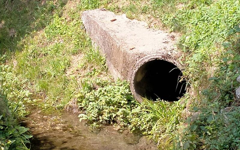 Bassanonet.it Canale YouTube