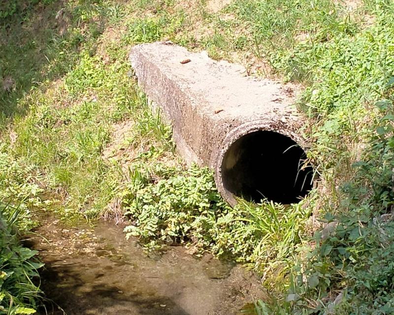 Bassanonet.it Canale YouTube