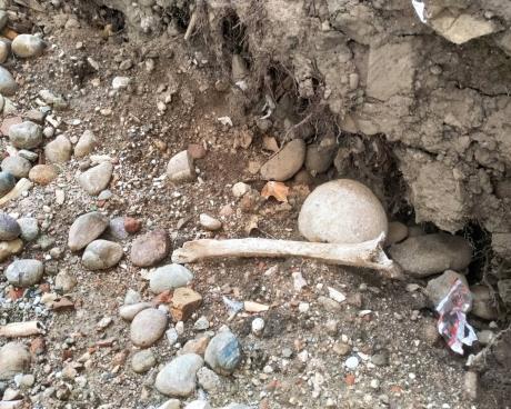 Bassanonet.it Top Crime