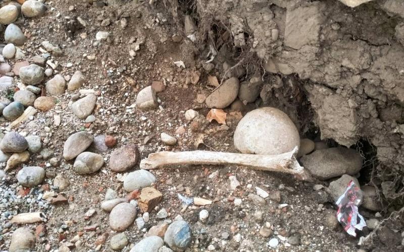 Bassanonet.it Top Crime