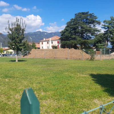 Bassanonet.it Un Fiore tra gli scavi