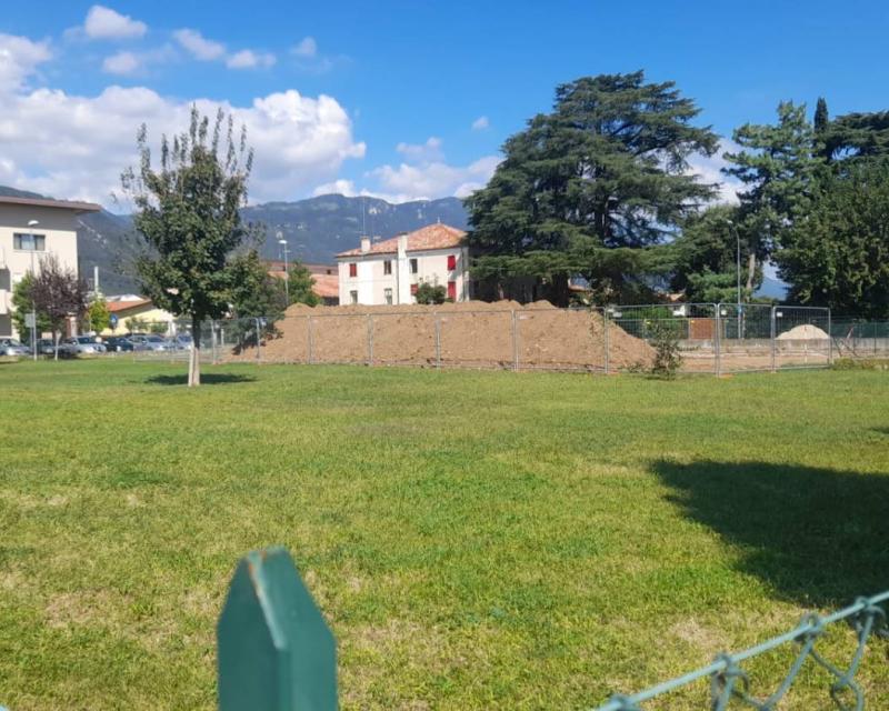 Bassanonet.it Un Fiore tra gli scavi