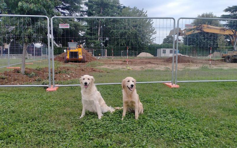 Bassanonet.it Quella mattina di un giorno da cani