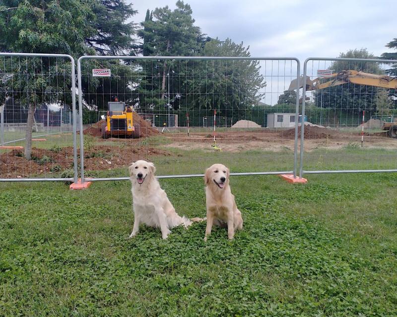 Bassanonet.it Quella mattina di un giorno da cani