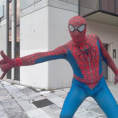 Bassanonet.it AsparaSpider