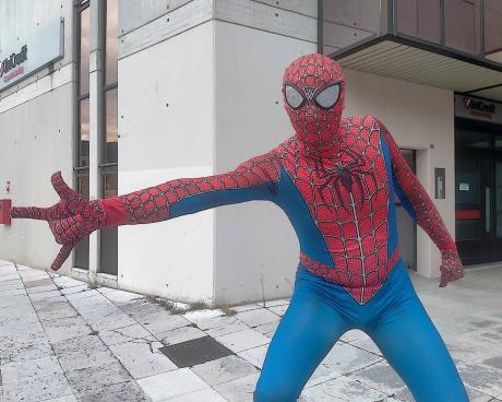 Bassanonet.it AsparaSpider