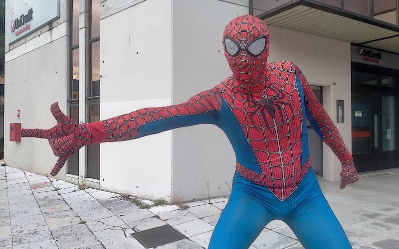 Bassanonet.it AsparaSpider