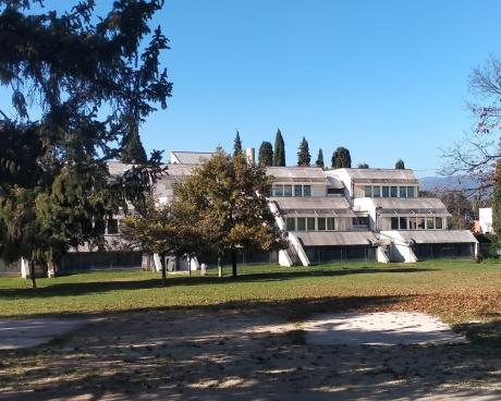 Bassanonet.it Money for Nothing