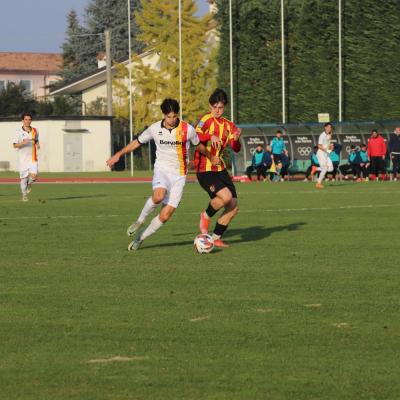 Bassanonet.it Dalle stelle alle stalle