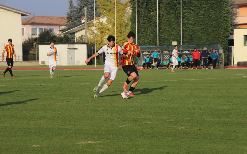 Bassanonet.it Dalle stelle alle stalle