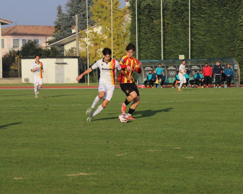 Bassanonet.it Dalle stelle alle stalle