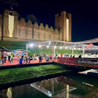 Bassanonet.it Frozen - Il regno di ghiaccio