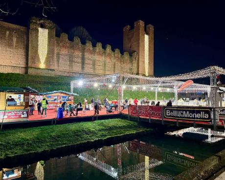 Bassanonet.it Frozen - Il regno di ghiaccio