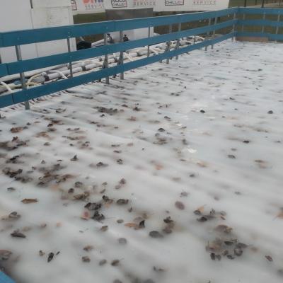 Bassanonet.it Pattinaggio sul foliage