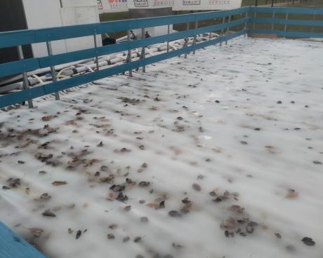 Bassanonet.it Pattinaggio sul foliage