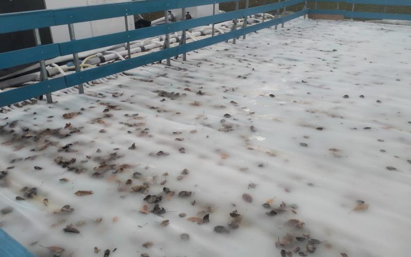 Bassanonet.it Pattinaggio sul foliage