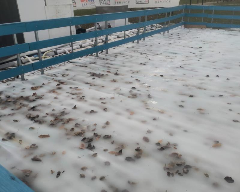 Bassanonet.it Pattinaggio sul foliage