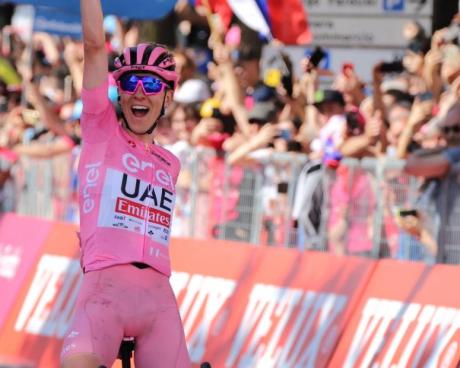 Bassanonet.it Acca Ventiquattro