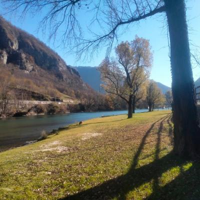 Bassanonet.it Operazione Spectre