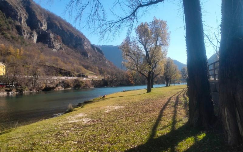 Bassanonet.it Operazione Spectre