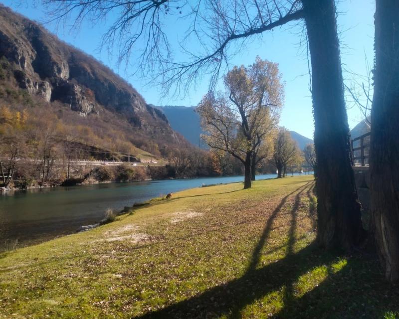 Bassanonet.it Operazione Spectre