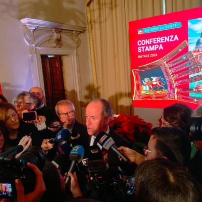 Bassanonet.it Il Re Leon