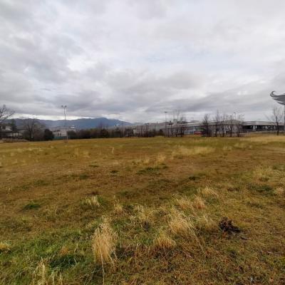 Bassanonet.it Il Grifino