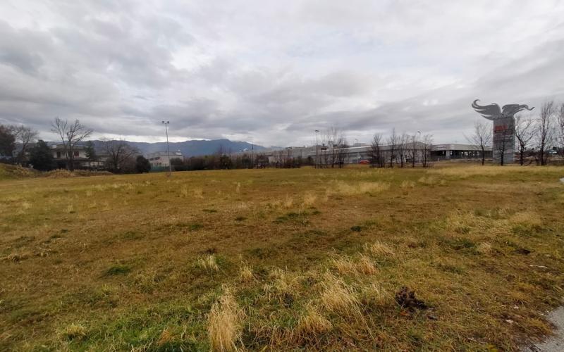 Bassanonet.it Il Grifino