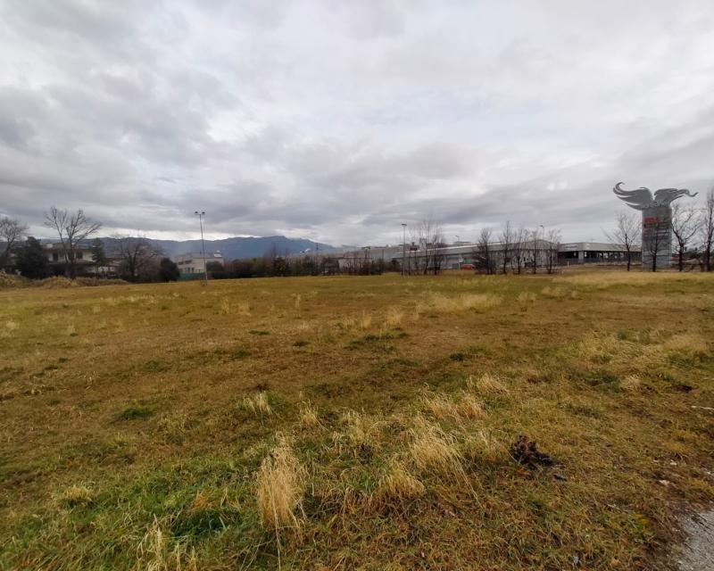 Bassanonet.it Il Grifino