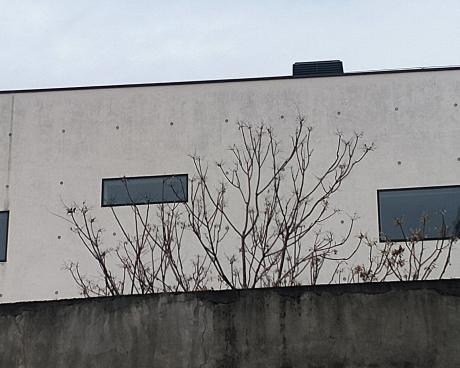 Bassanonet.it Sfida all’O.K. Berical