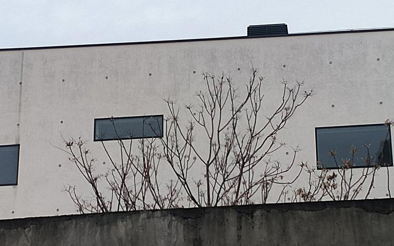 Bassanonet.it Sfida all’O.K. Berical