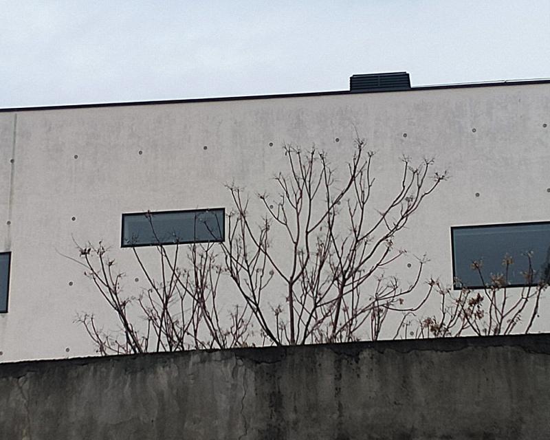 Bassanonet.it Sfida all’O.K. Berical