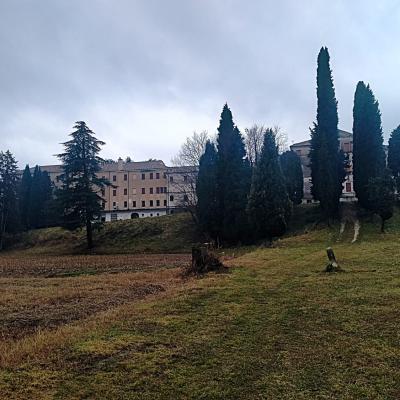 Bassanonet.it Ma…ffioli