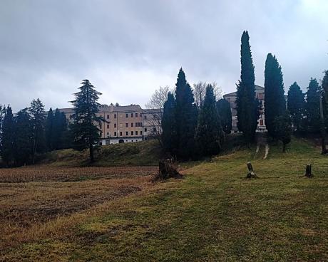 Bassanonet.it Ma…ffioli