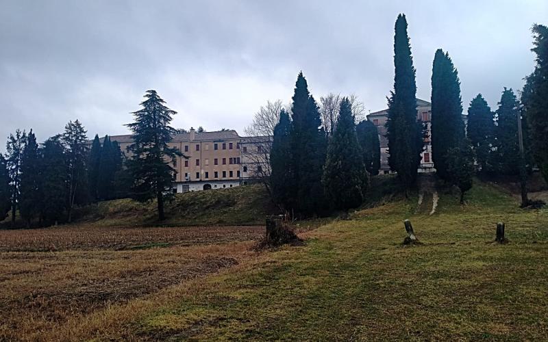 Bassanonet.it Ma…ffioli