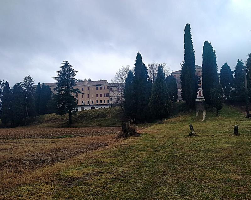 Bassanonet.it Ma…ffioli