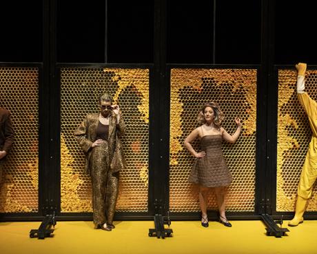 Bassanonet.it Ricchi e famosi: carriera brillante cercasi