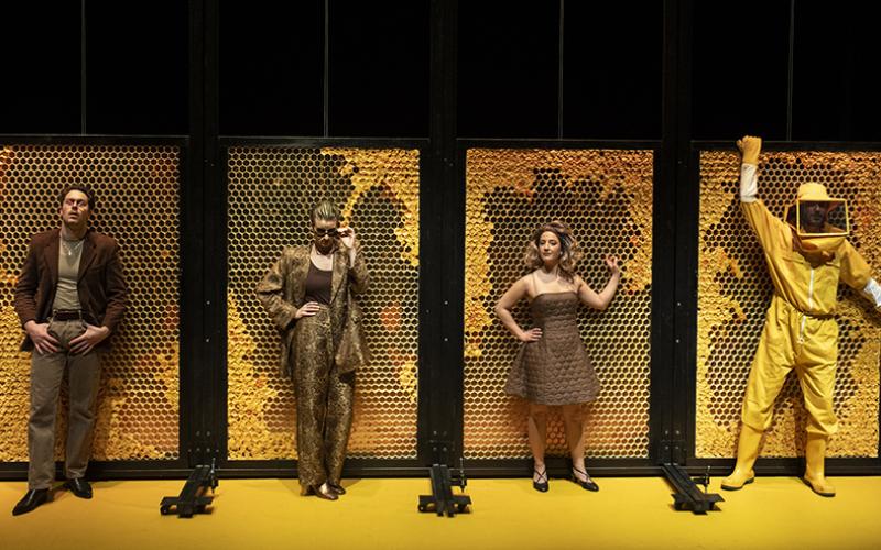 Bassanonet.it Ricchi e famosi: carriera brillante cercasi