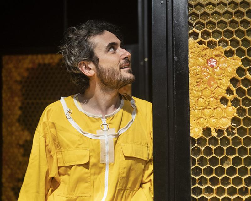 Bassanonet.it Corre sui social, la fame di <em>fame</em>