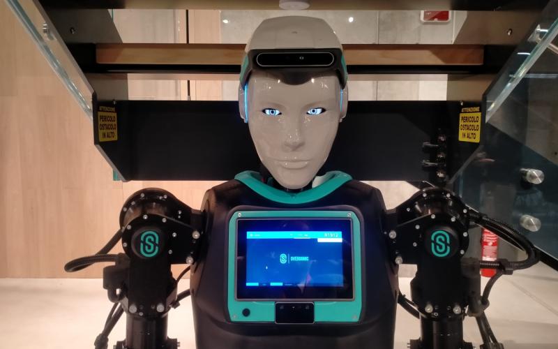 Bassanonet.it RoBee da matti