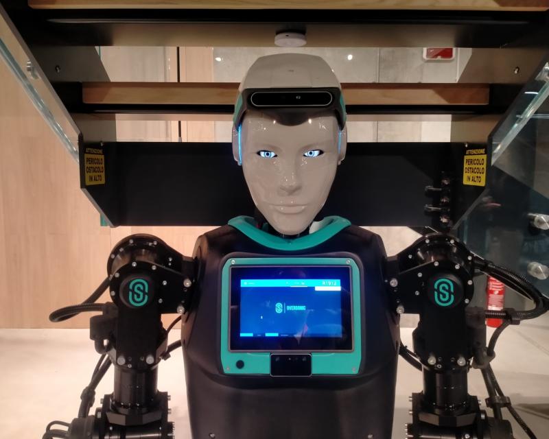 Bassanonet.it RoBee da matti