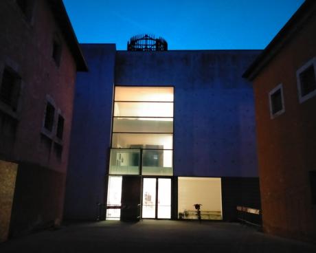 Bassanonet.it Mai dire bonsai