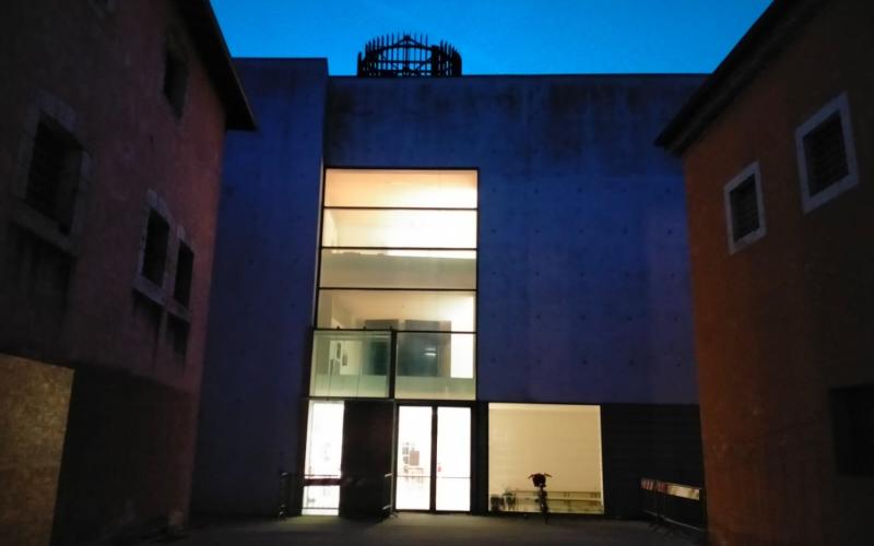 Bassanonet.it Mai dire bonsai