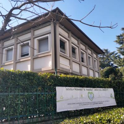 Bassanonet.it Il giorno dello sciacallo