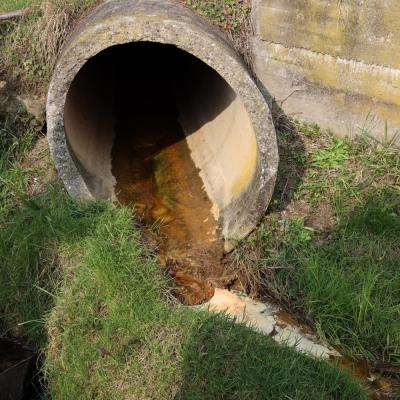 Bassanonet.it Birra Morelli