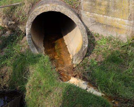 Bassanonet.it Birra Morelli