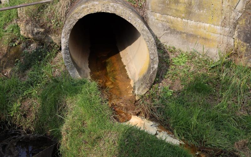 Bassanonet.it Birra Morelli