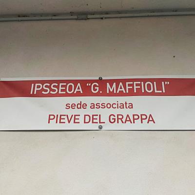 Bassanonet.it Figli di un POF minore