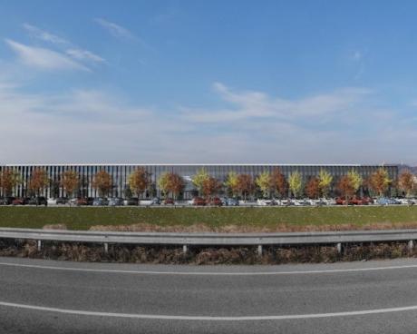 Bassanonet.it Campagne Verdi